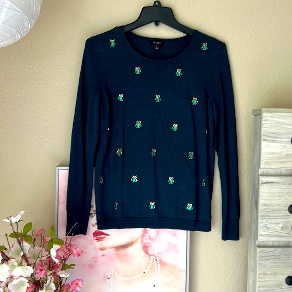Crystal owl sweater